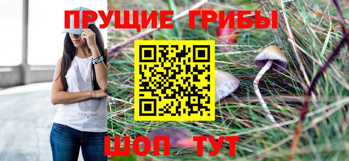 Галлюциногенные грибы ЛСД Мытищи