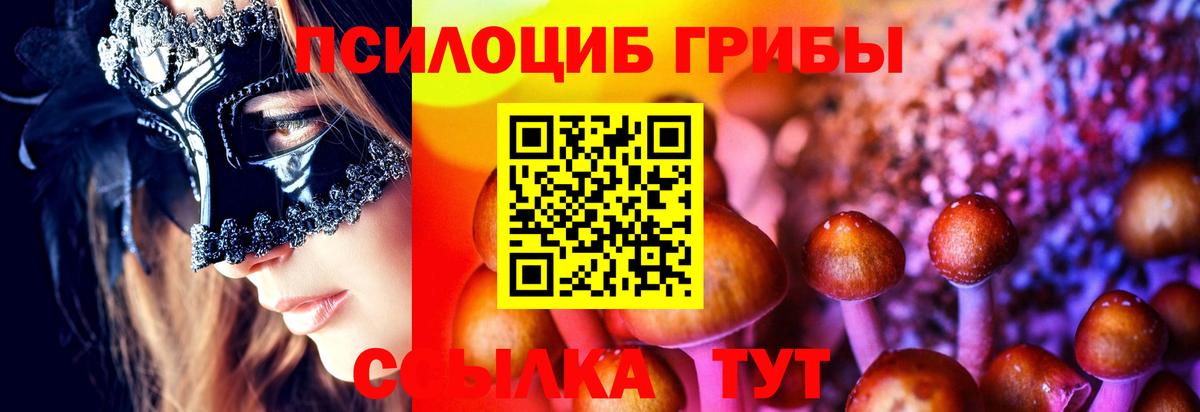 купить наркоту  Вход с VPN  Псилоцибиновые грибы GOLDEN TEACHER  Мытищи  Псилоцибиновые грибы мухоморы 